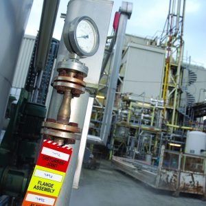 Flange Tag